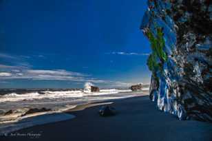 Redwood Beach-7155.jpg